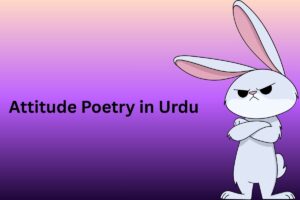 Attitude Poetry in Urdu