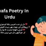 Bewafa Poetry In Urdu