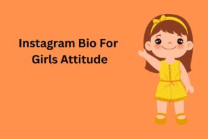 Instagram Bio For Girls Attitude