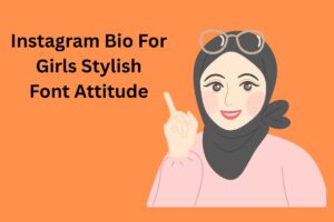 Instagram Bio For Girls Stylish Font Attitude