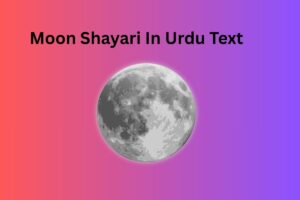 Moon Shayari In Urdu Text
