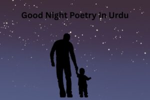 Good Night Poetry In Urdu 