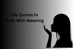 Life Quotes In Urdu With Meaning